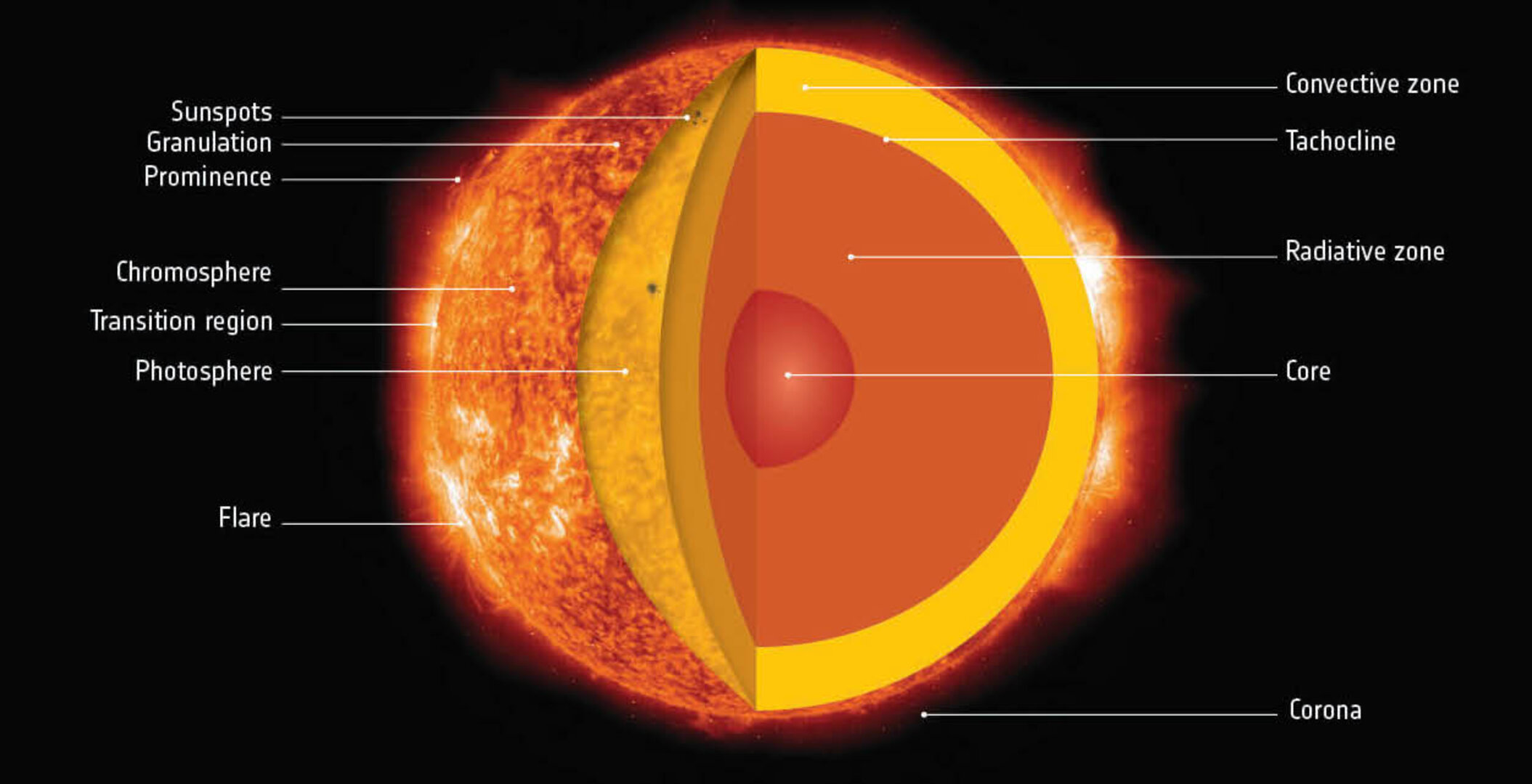 Sun's interiors